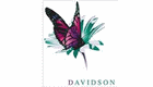 Davidson Consulting
